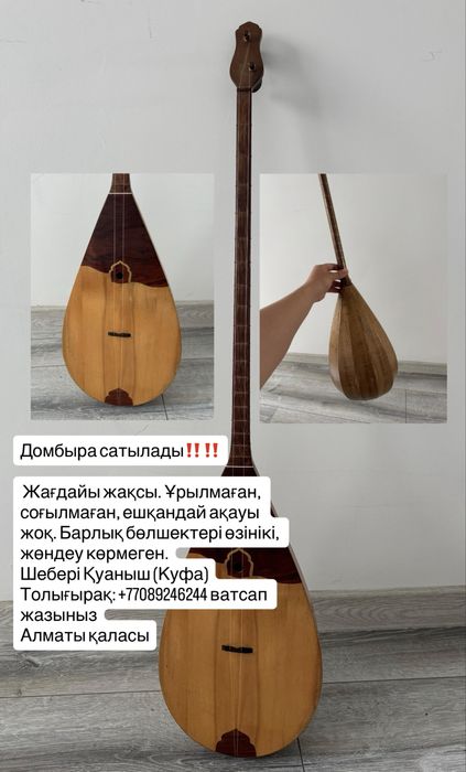 Домбыра кәсіби музыкалық аспап