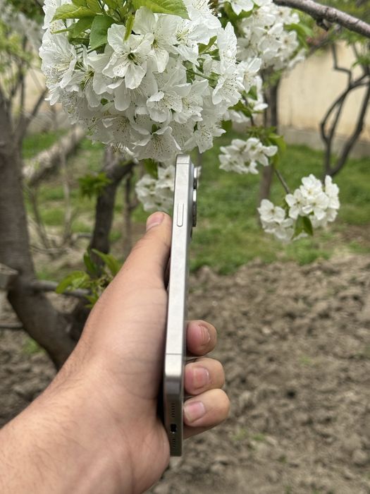 Iphone 15 Pro Max 256 Gb Natural 88%