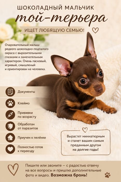 Тойчик с документами