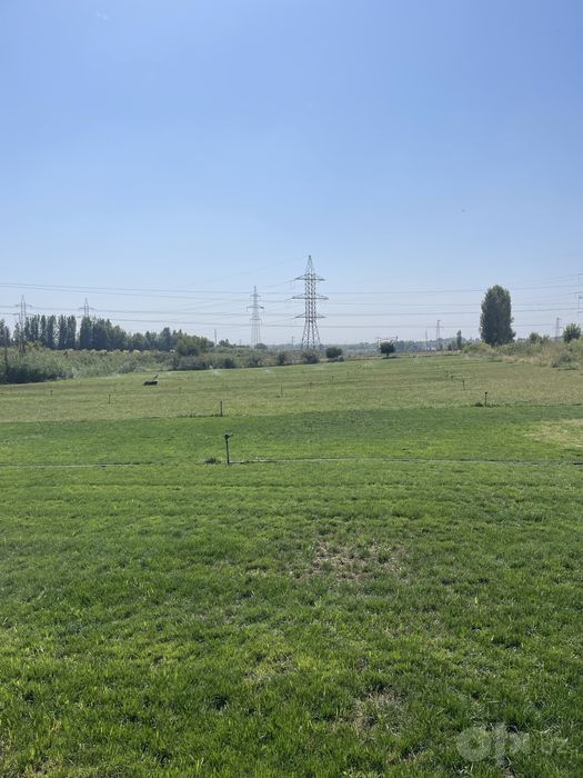 gazon sotiladi sifatli