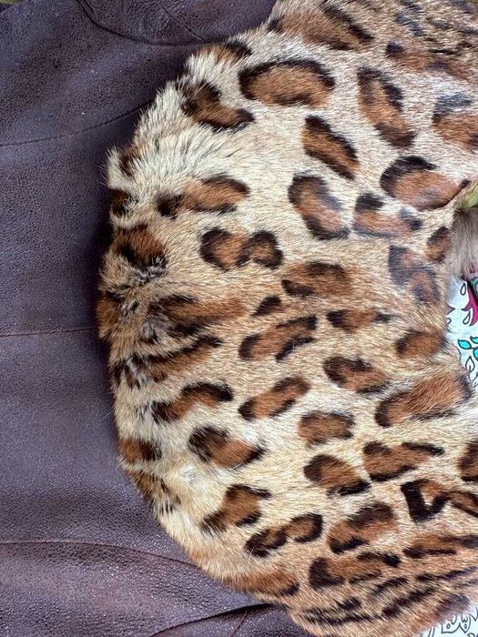 Haina de piele cu maneci si guler de leopard, superba!