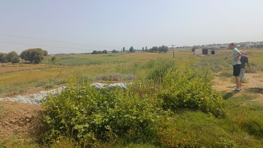 Назарбек тарафда 2 гектар ер селхознозночение доимие фоедаланиш