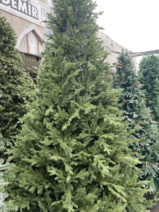 Новогодние ёлки подарки корпоративом мероприяти