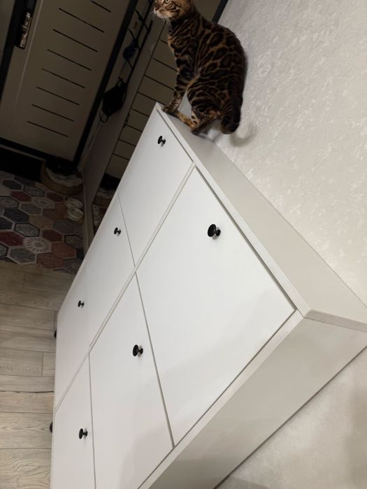 Продам обувницу и две полочки