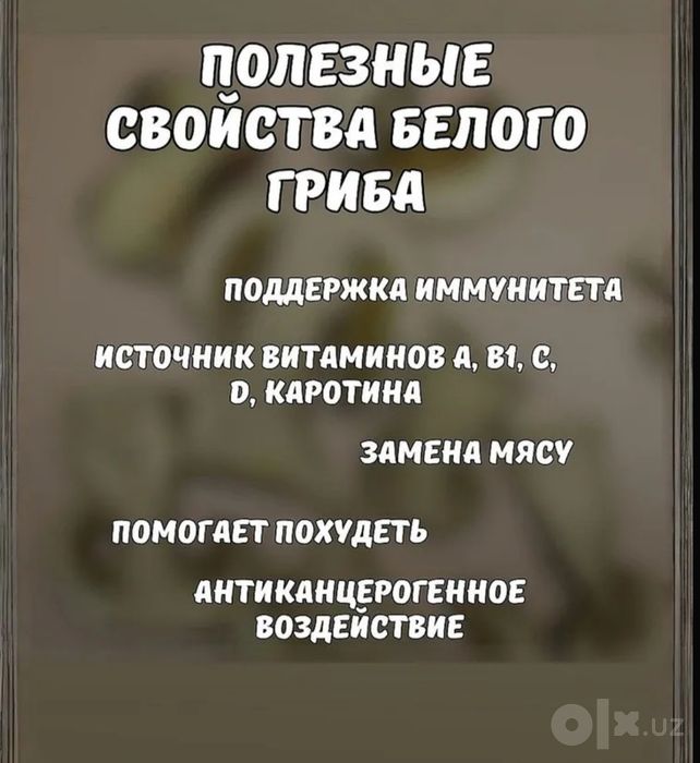 Сушеные белые грибы, 500 г, 2026, Алтай, крупные