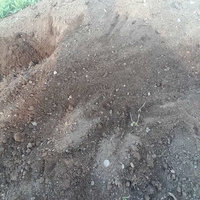 Биогумус сатылады