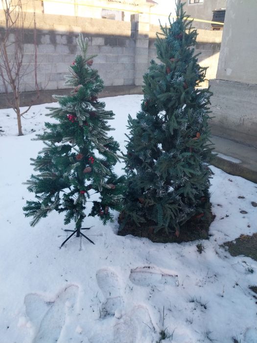 Продаются новогодние ёлки
