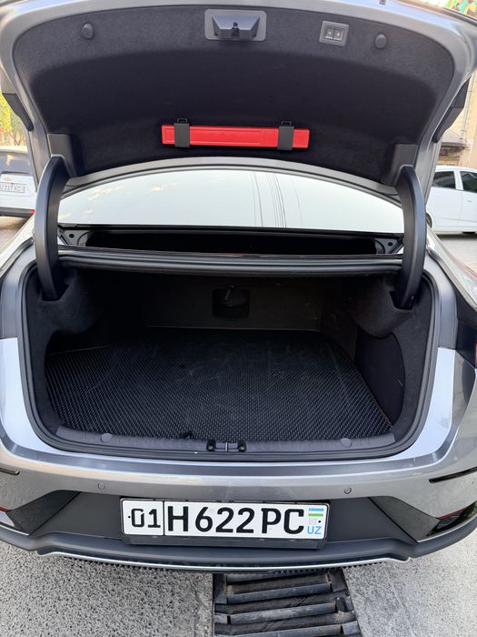 BYD Han Dual Motor full 3.9 sec 100km