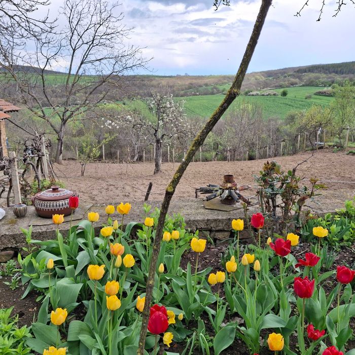 Продава се Къща в с. Сърцево, Област Сливен - 80 кв.м за 223 €/кв.м - Снимка #2