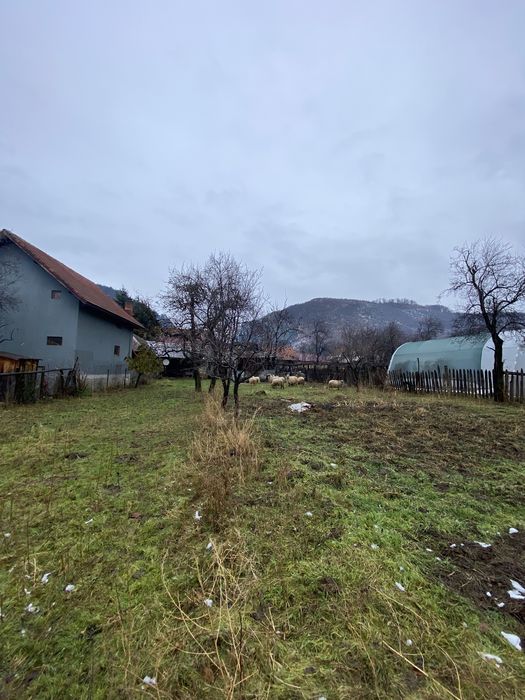 Teren Intravilan Baia de Fier