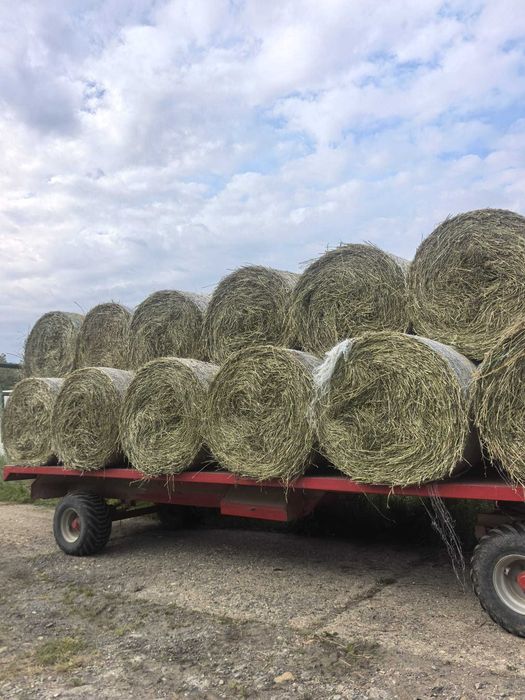 Baloți lucernă și fân
