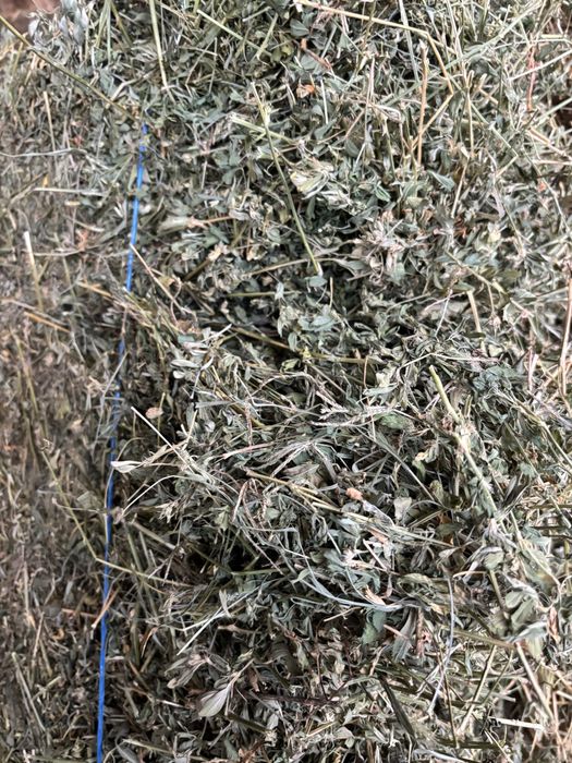 Baloti dreptunghiulari lucerna