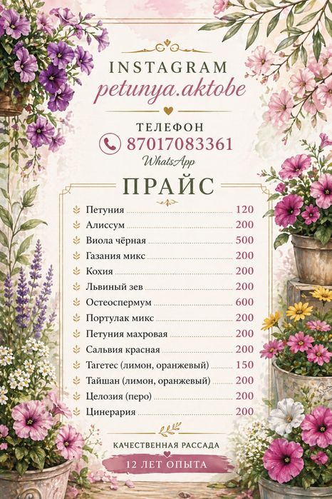 ПЕТУНИИ , рассада однолетних цветов