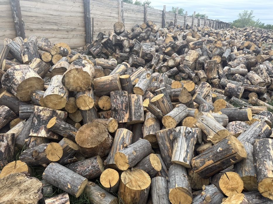 Продам чуркованые сухие дрова