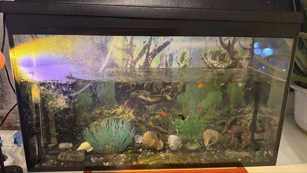 Продам аквариум на 50мл