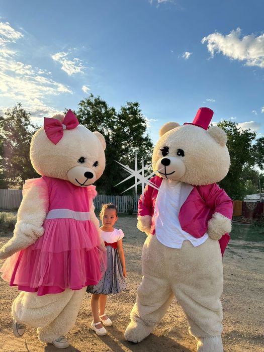 Мишки на прокат