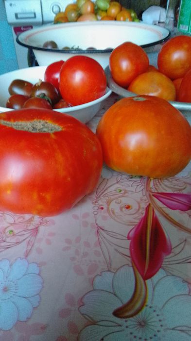 Огурчики корнюшоны домашние