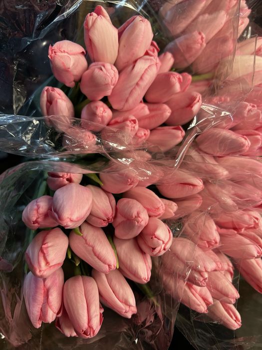 Тюльпаны к 8 марта