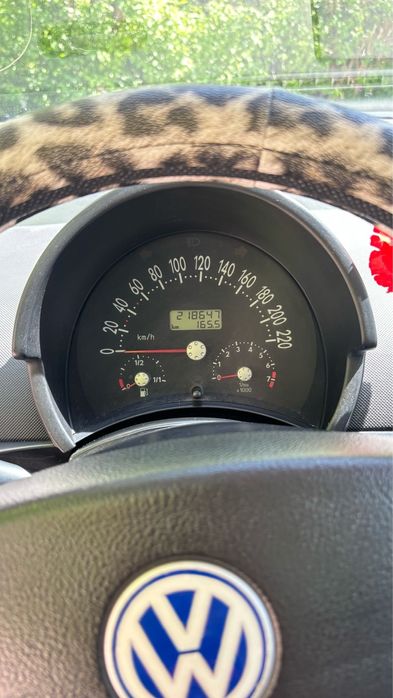 Volkswagen New Beetle 2001, 1.6 benzina