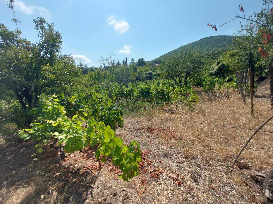 Продава се Къща в Търговище, Вилна зона - 40 кв.м за 829 €/кв.м - Снимка #12