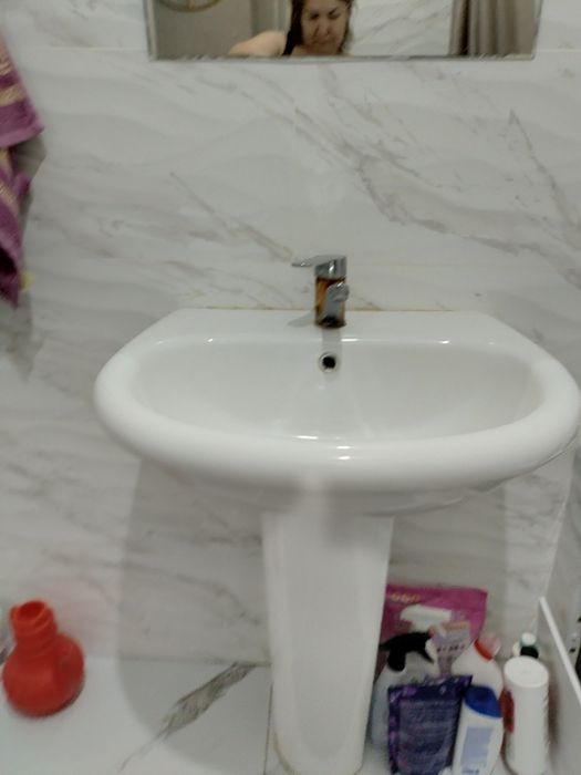 Тюльпан раковина