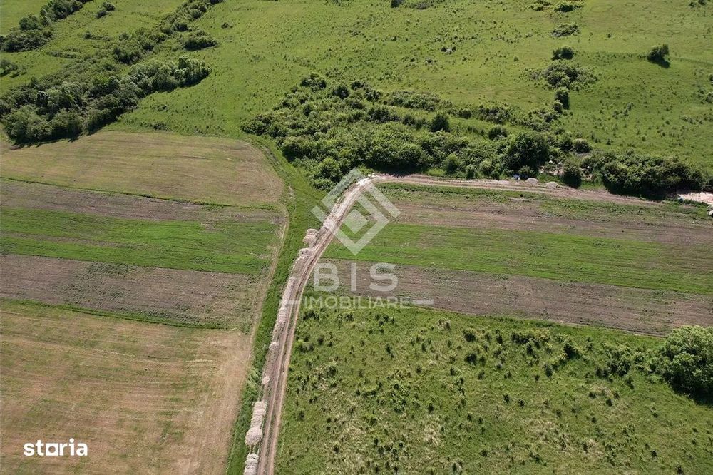Teren Valea - Stanelor 21.600 mp