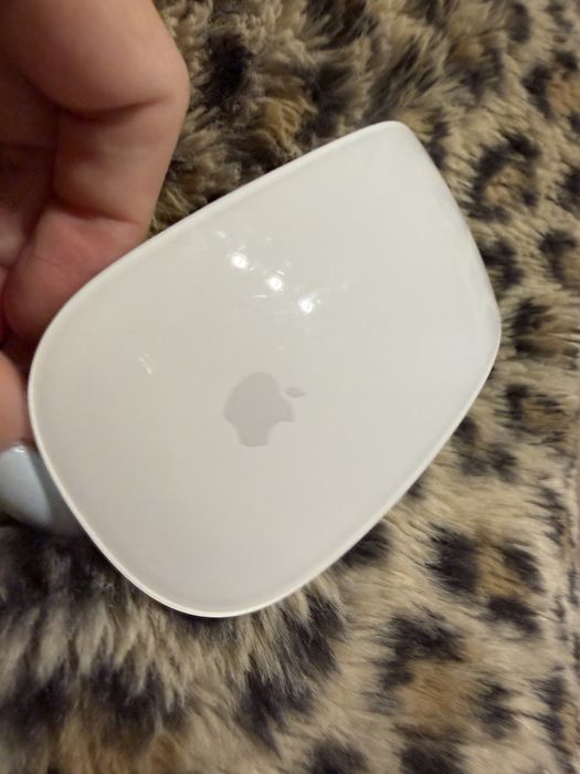 Mouse Apple A1657