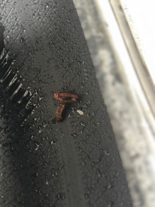 Шины летние  недорого