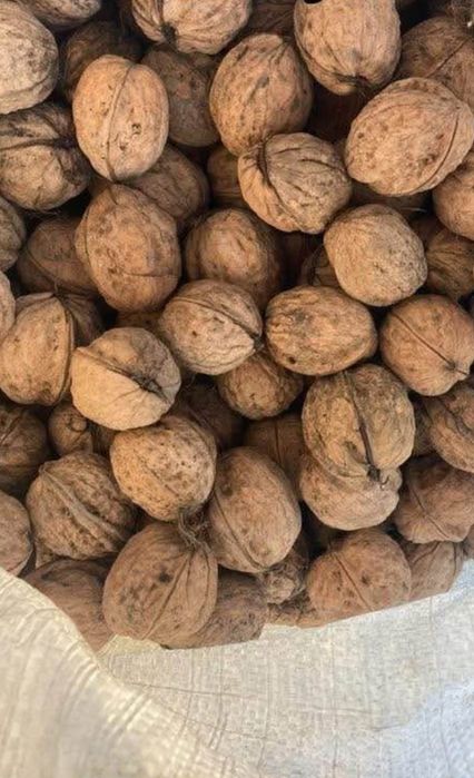 Nuci in coajă in anul asta 2025