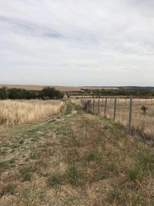 Продава се Земеделски имот в Асеновград -  кв.м за 9999 €/дка - Снимка #5