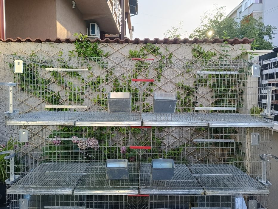 Cuști pentru iepuri