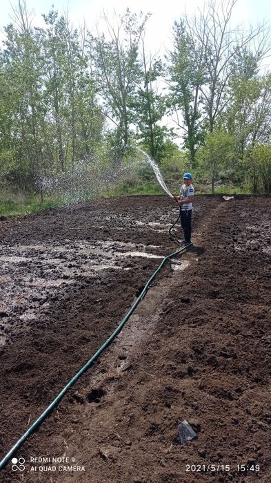 Сдам в оренду участок