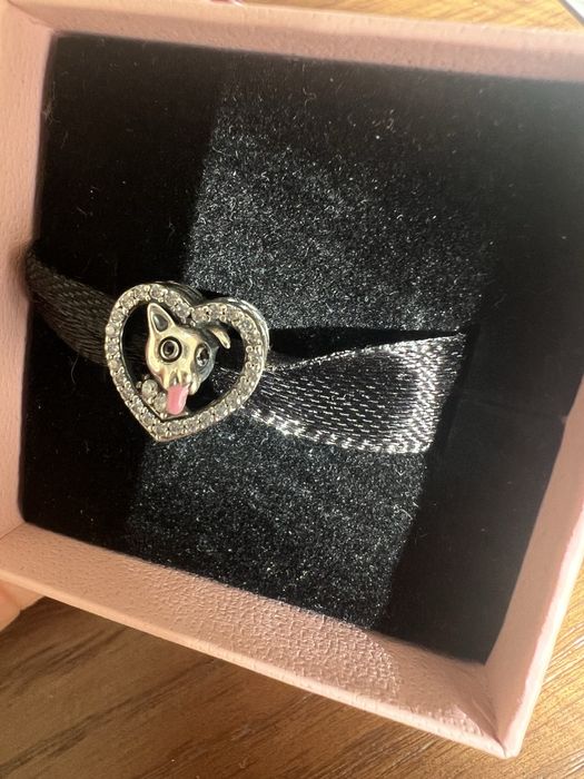 Сребърни талисмани съвместими с Pandora