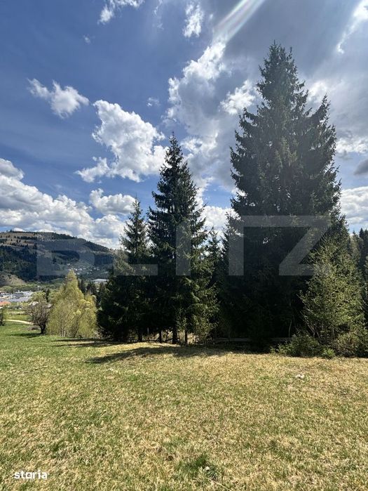 Teren in Vatra Dornei, str Rosu, 8450 mp, extravilan + intravilan