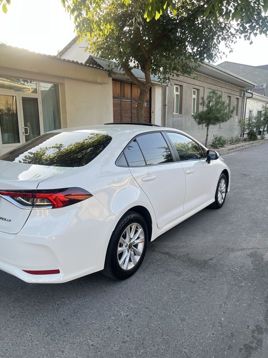 Toyota carolla 2024 yil