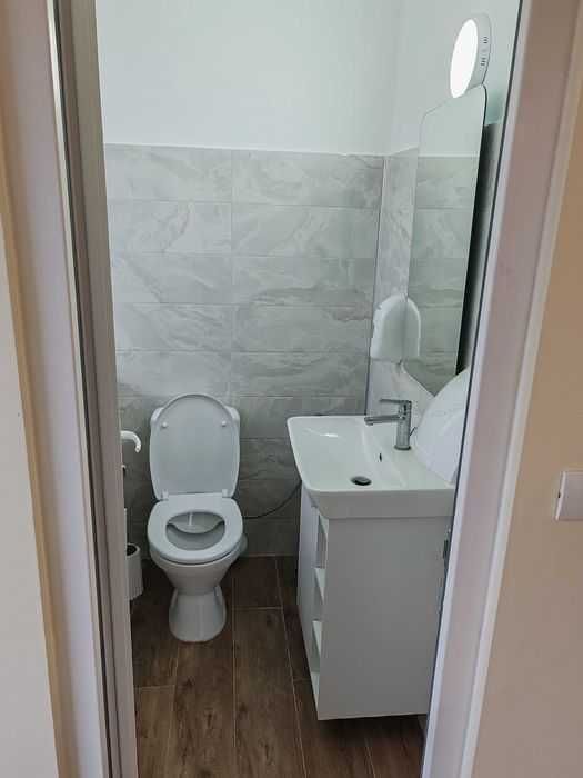 Vand spatiu comercial Calea Timisorii