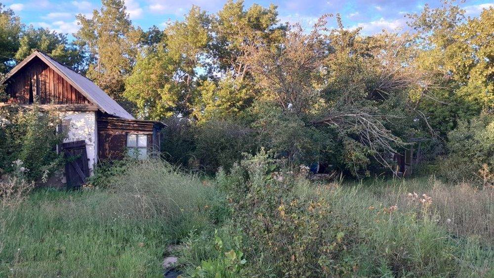 Продаю дачный участок