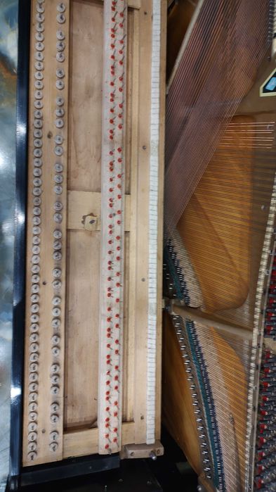 Acordare si Reparare Piane/Pianine