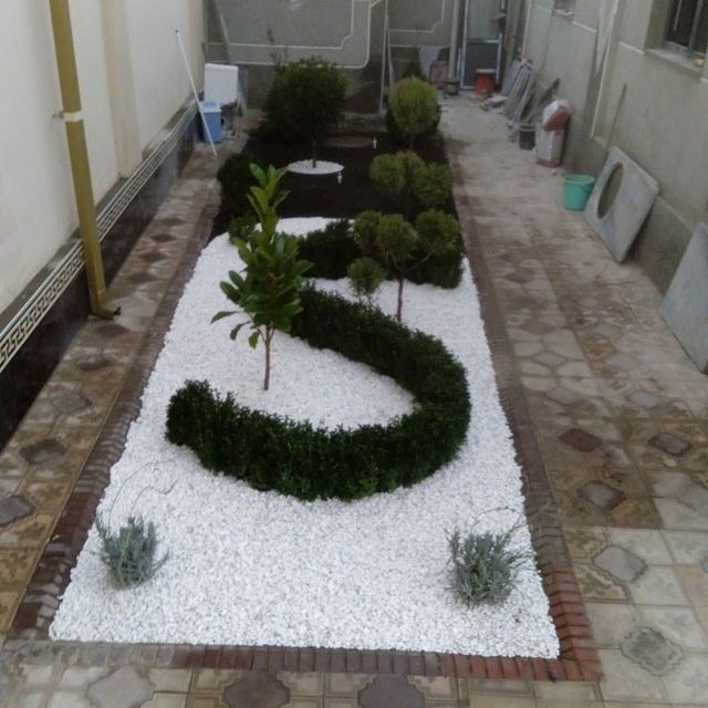 Gazon ekish archa kesish dorlash xizmati