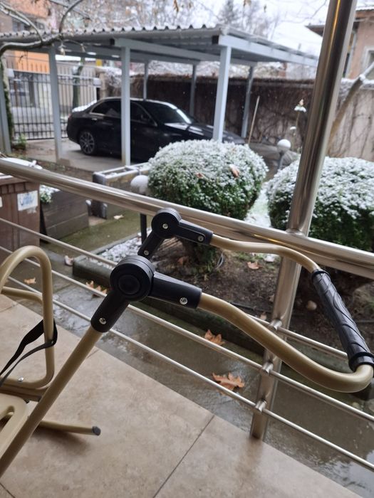 Шейна - Piccolino