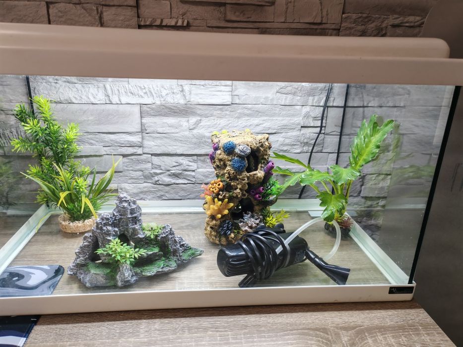 Acvariu/ Terariu 54 litri