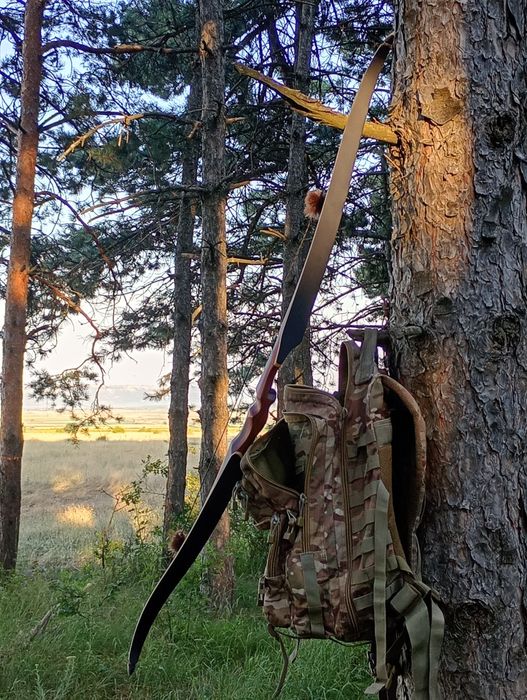 Arc recurve puternic