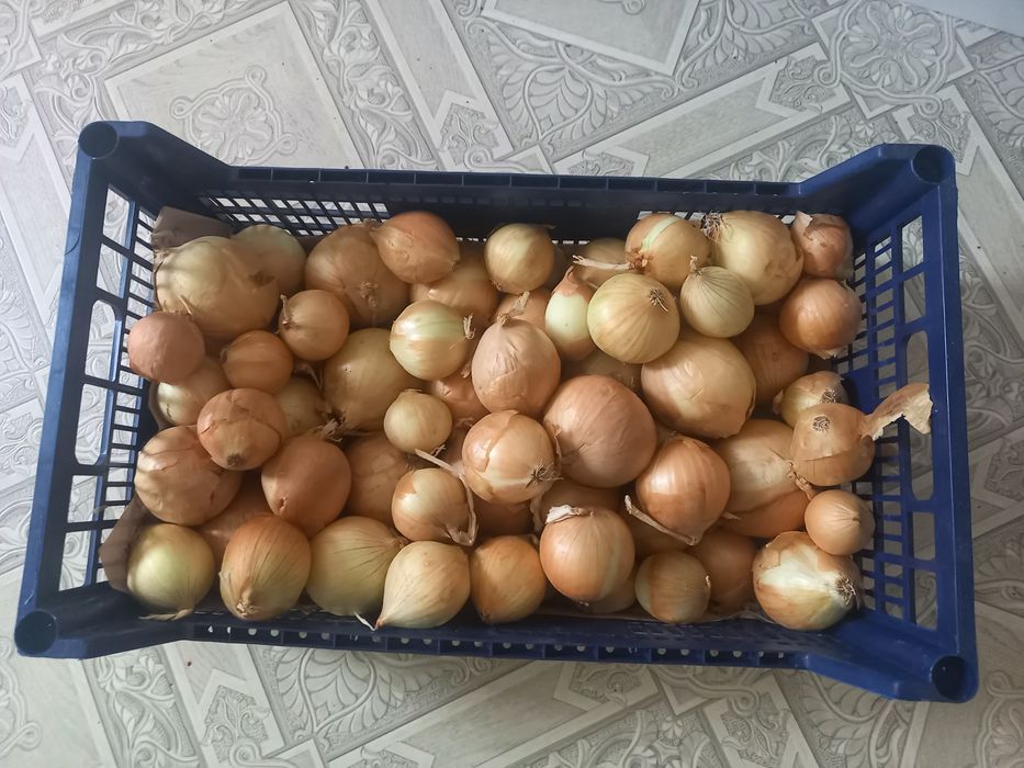 Пластиковые ящики