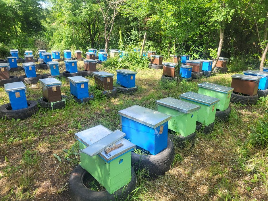 Пчелен прашец, Мед(Билков,Крем-мед,Имуно), Прополис, Тинктура, Свещи 2