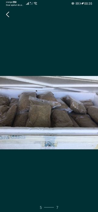 Hrana pesti de orice tip la kg.