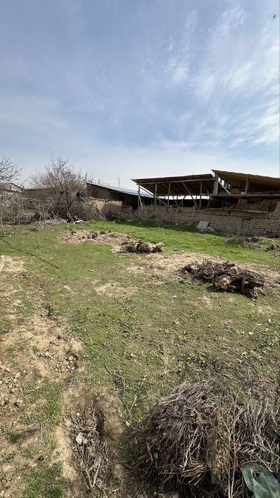 Narxi yana kelishiladi