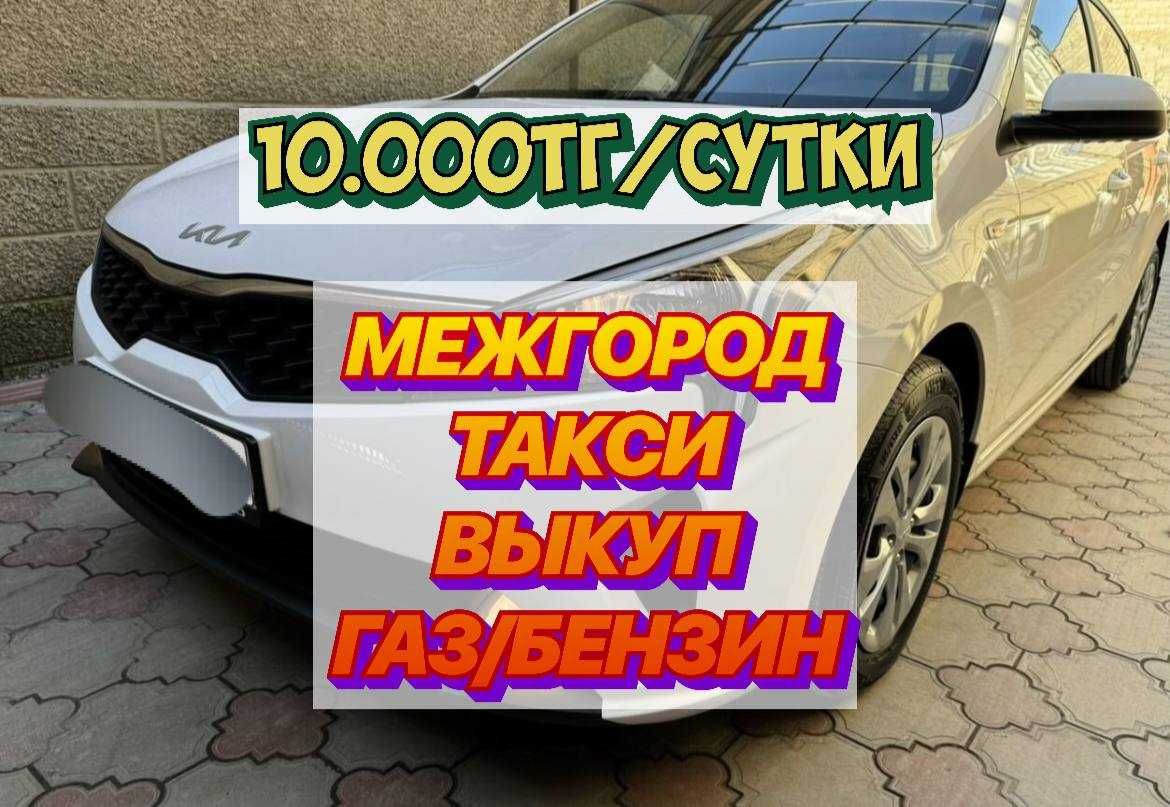 Аренда авто, такси, межгород, выкуп - Аренда авто Алматы на Olx