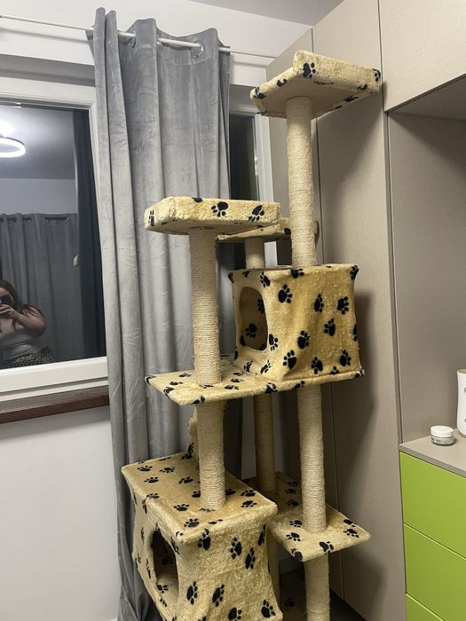 Vand castel pe tru pisici