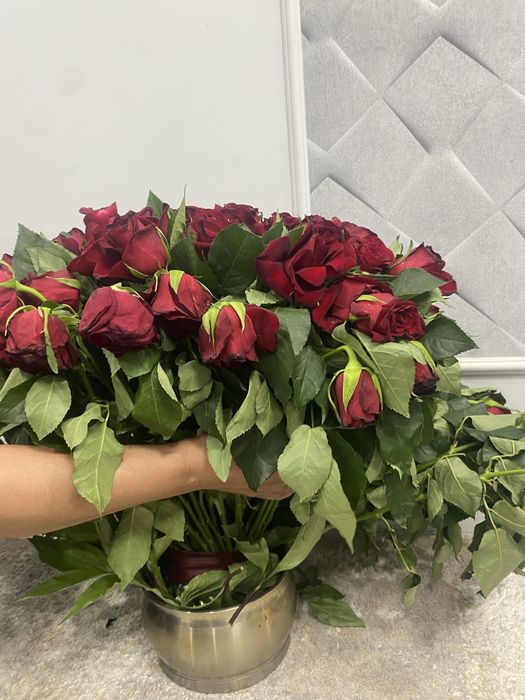 Продам цветы роза