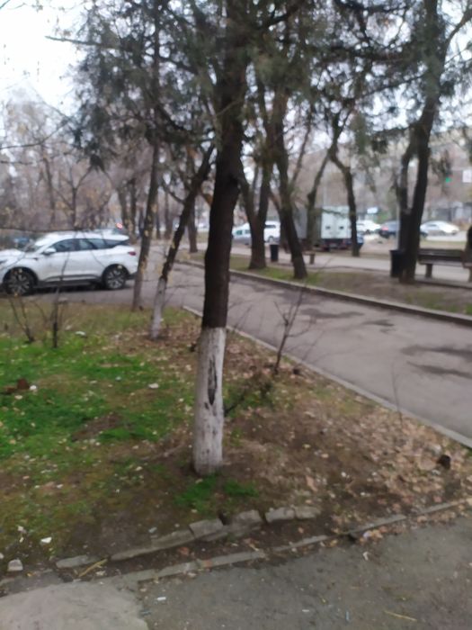 Сдам помещение в аренду